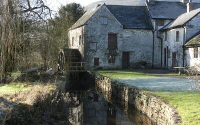 CLODOCK MILL OPEN DAYS