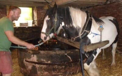 FAIR OAK CIDER OPEN DAY