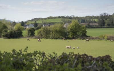 Sutton Walls – “A Hillfort with History”