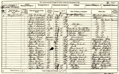 Understanding the Census
