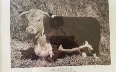Farming in Herefordshire since 1945