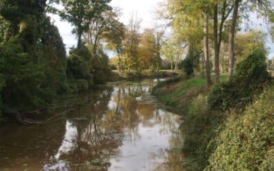 Guided Walk Along The Canal