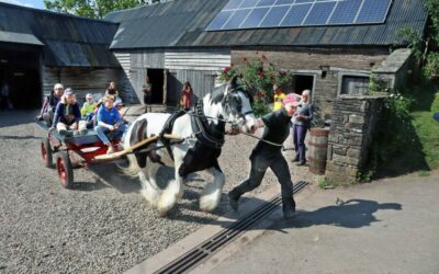 Fair Oak Cider Open Weekend