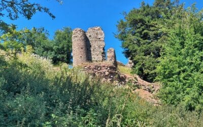 Snodhill Castle Tours, Saturday 23rd May 11.00am and 2.00pm